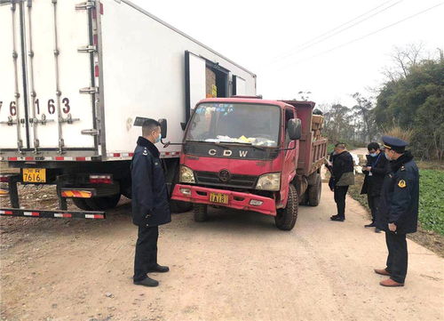 广安岳池县开展“冬安行动”，为春运货物道路运输保驾护航