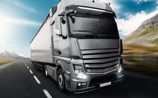 上海至沧州物流专线 特快直达，高效保障普通货物运输